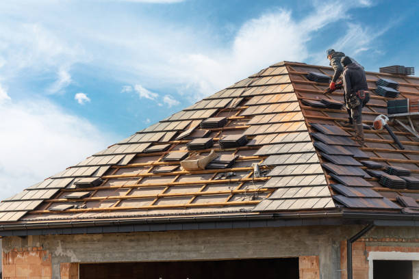 Roof Moss and Algae Removal in Strongsville, OH